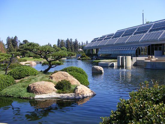 The Japanese Garden